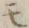 文字 モ