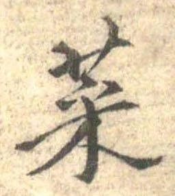 菜 위치 확인됨
