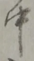 中 위치 확인됨