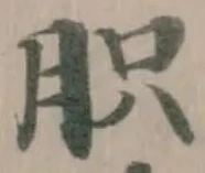 胑 위치 확인됨