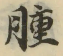 腫 위치 확인됨