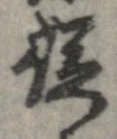 位置 確認된 未指定