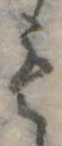 미지정 위치 확인됨
