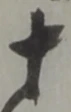十 위치 확인됨