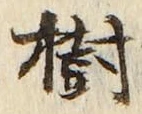 글자 樹