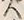 字蝦