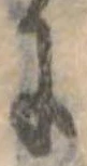 𛂌 위치 확인됨