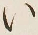 字い