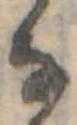 𛂂 위치 확인됨