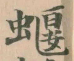 蝘 위치 확인됨