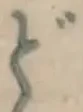 글자 ど