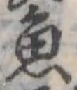 魚 위치 확인됨