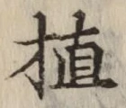 글자 植