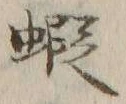 글자 蝦
