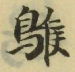 䳧 위치 확인됨