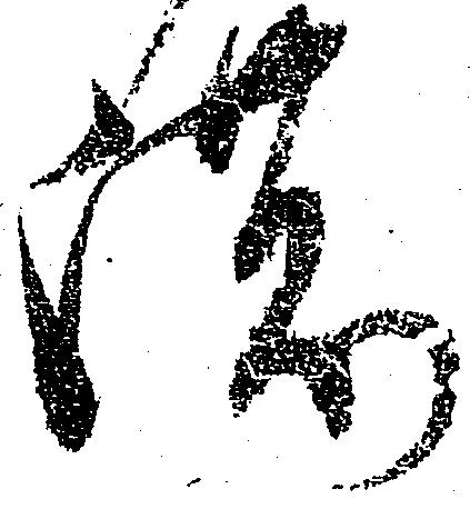 濃 위치 확인됨