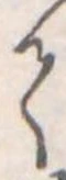 𛁳 위치 확인됨