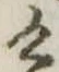 位置定マレル未定