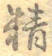 精 위치 확인됨