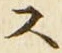 𡨸ス