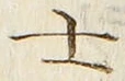 𡨸士