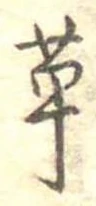 位置定マレル草