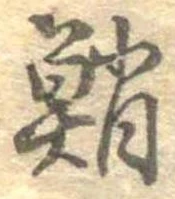 鮹の位置