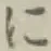 文字に