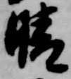 晴 위치 확인됨