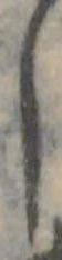 𛁅 위치 확인됨