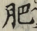 文字肥