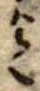 迄 위치 확인됨