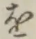 Character を