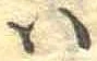 𛂞 위치 확인됨