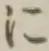 文字に