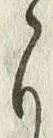𡨸ゝ