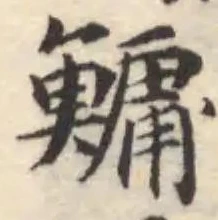 魟の位置