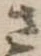 位置 確認된 さ