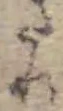 Đã định vị 𛁠