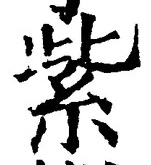 文字紫