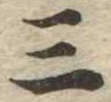 位置定マレル三