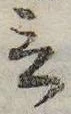 Đã định vị 言
