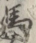 位置定マレル馬