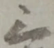 位置定マレル三