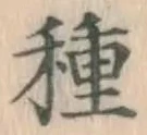 글자 種