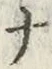 글자 ナ