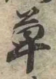 草 위치 확인됨