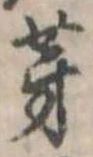 芽 위치 확인됨
