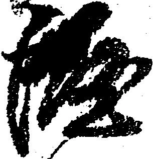 涯 위치 확인됨