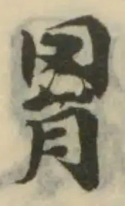 位置 確認된 罥
